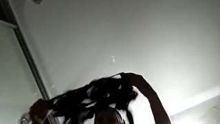 lynnangelica