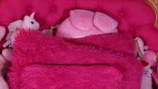 thelittledulcinea